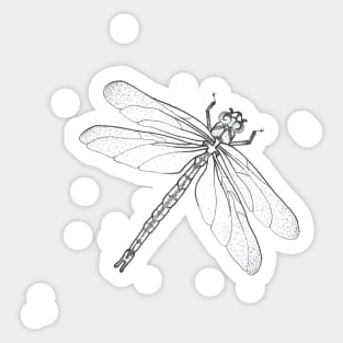 dotted dragonfly Sticker